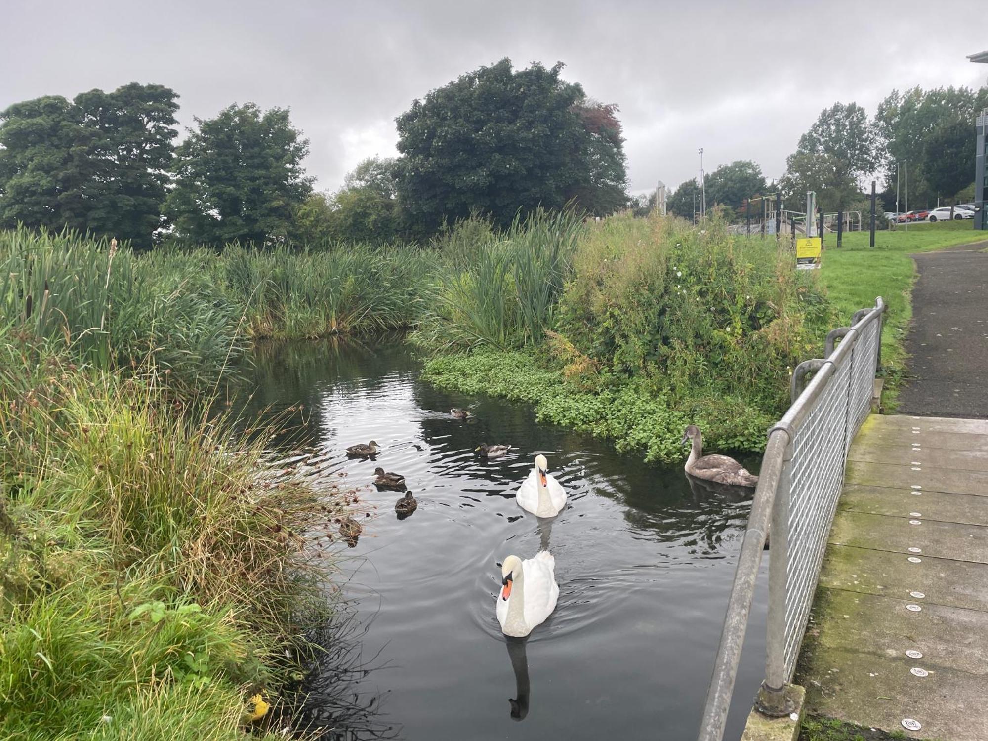 Fairway House Βίλα Carrickfergus Εξωτερικό φωτογραφία